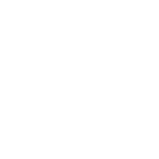 pragmaticar-logo